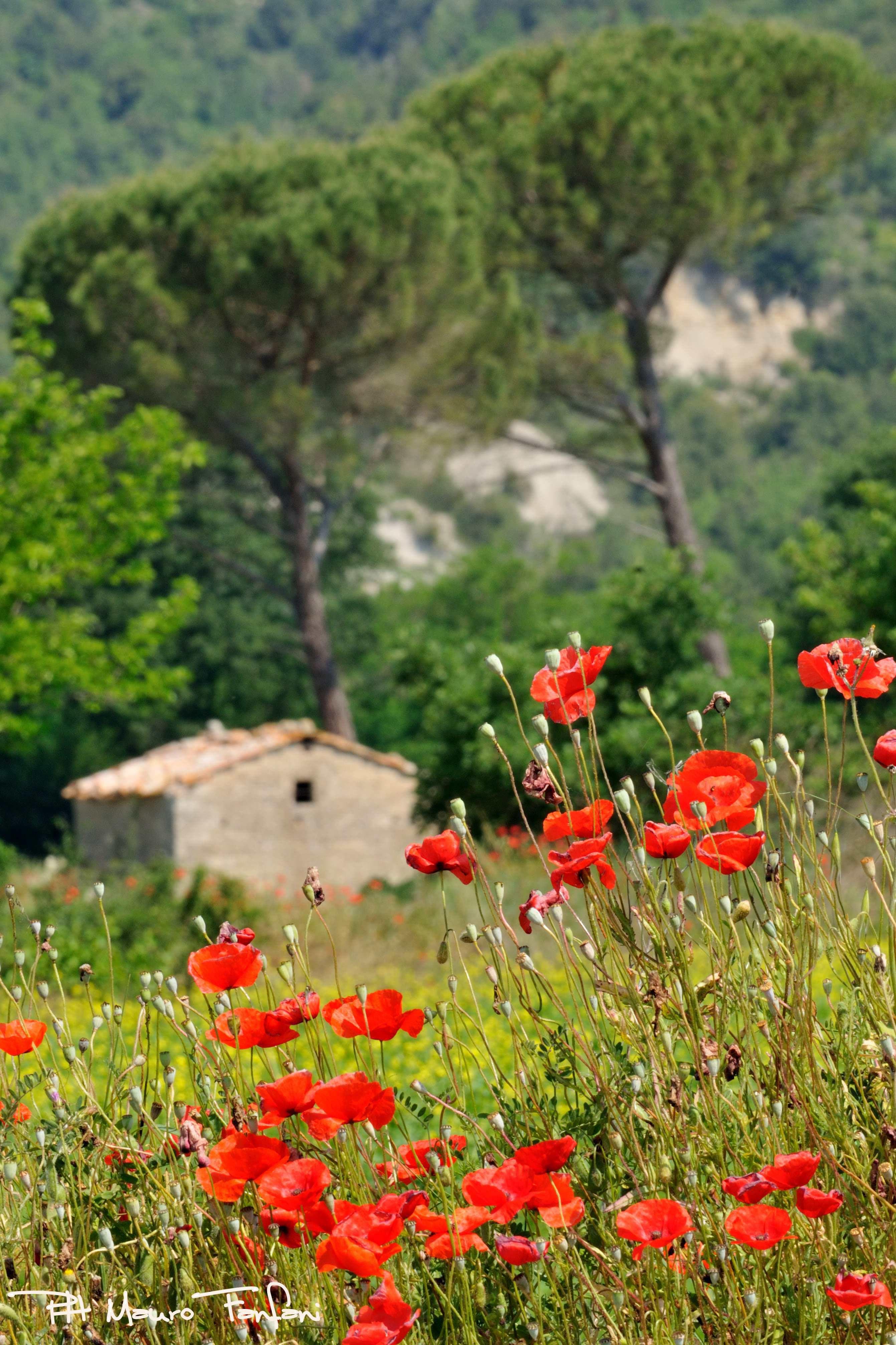 Natura in Toscana